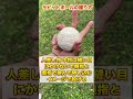 【変化球】マジな魔球投げたい人必見！誰でも投げられるオススメ4選【ピッチャー／草野球】