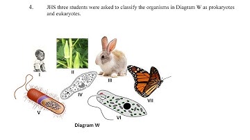 2024 BECE Integrated Science Preparatory Materials Questions and Answers