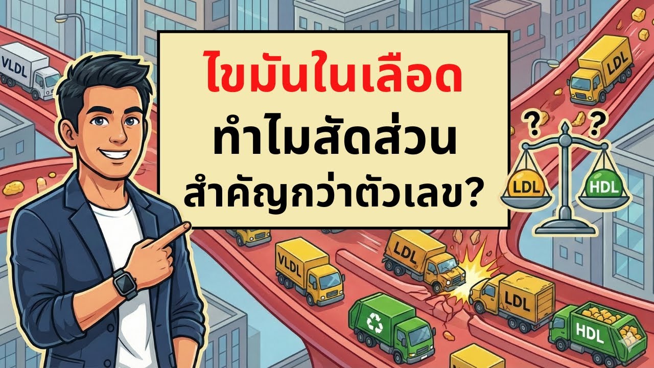 ไขมันในเลือด - ทำไมสัดส่วนสำคัญกว่าตัวเลข ? | เรื่องไม่รู้รอบตัว