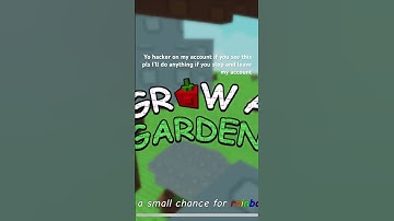 Hacker pls stop I will do anything