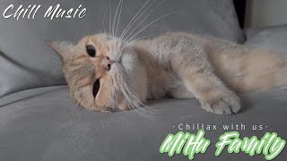 [Chillout with kittens] Looking forward to Christmas ｜Chill Music, Background, Work, Sleep by Mihu family Take a break 225 views 5 months ago 11 minutes, 29 seconds