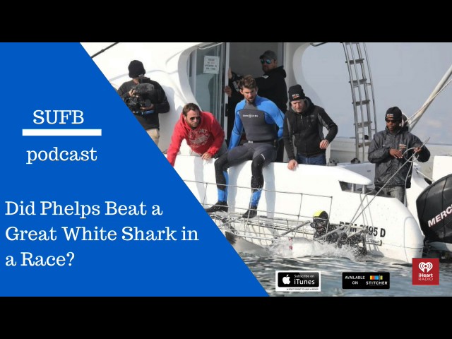 Shark Week: Phelps Loses To White Shark But Is It A Win For Conservation