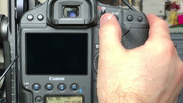 Pocket Wizard Plus III working with Canon cameras and flashes