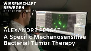 Impact Clip: A Specific Mechanosensitive Bacterial Tumor Therapy