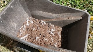 Chicken Care - Peat Moss as bedding