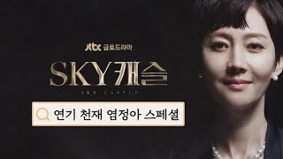 [스페셜] 몰입도甲, 연기 천재 염정아(Yum Jung ah) 모멘트 "아갈머리♨"  SKY 캐슬(skycastle) 11회