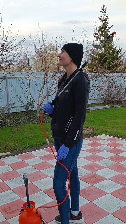 Весенняя обработка сада. Чем вы обрабатываете ваш сад? #сад #огород ...