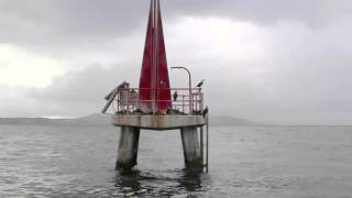 WUDU Summer Series 4 Episode 6 Pennicott Wilderness Journeys