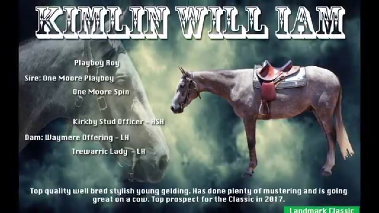 Kimlin Will Iam Lot 272 Landmark Classic Sale Tamworth Feb 2016 YouTube