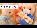 ママが赤ちゃんを産みました👶|シルバニアファミリー