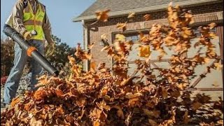 Fall Leaves & Walnuts Clean Up-STIHL BR 800C Backpack Blower! 🍁 
