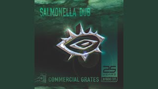 Video thumbnail of "Salmonella Dub - Longtime (Single)"