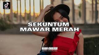 JOGET DANGDUT_SEKUNTUM MAWAR MERAH_Remix By Rijun Cholter