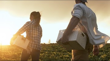 How SVG Ventures | THRIVE is Advancing Food & Agriculture