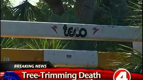 Man dies on Fort Myers Beach while trimming trees