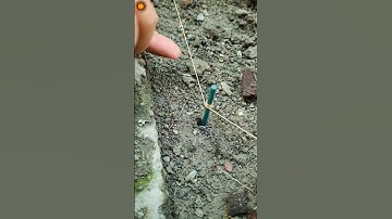 this node is awesome #knot #nodes #shorts #survivalknots