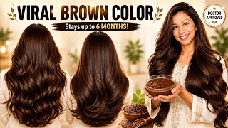 Grey Hair to Brown Naturally Viral Brown Hair Color Recipe No Chemical Hair Dye
