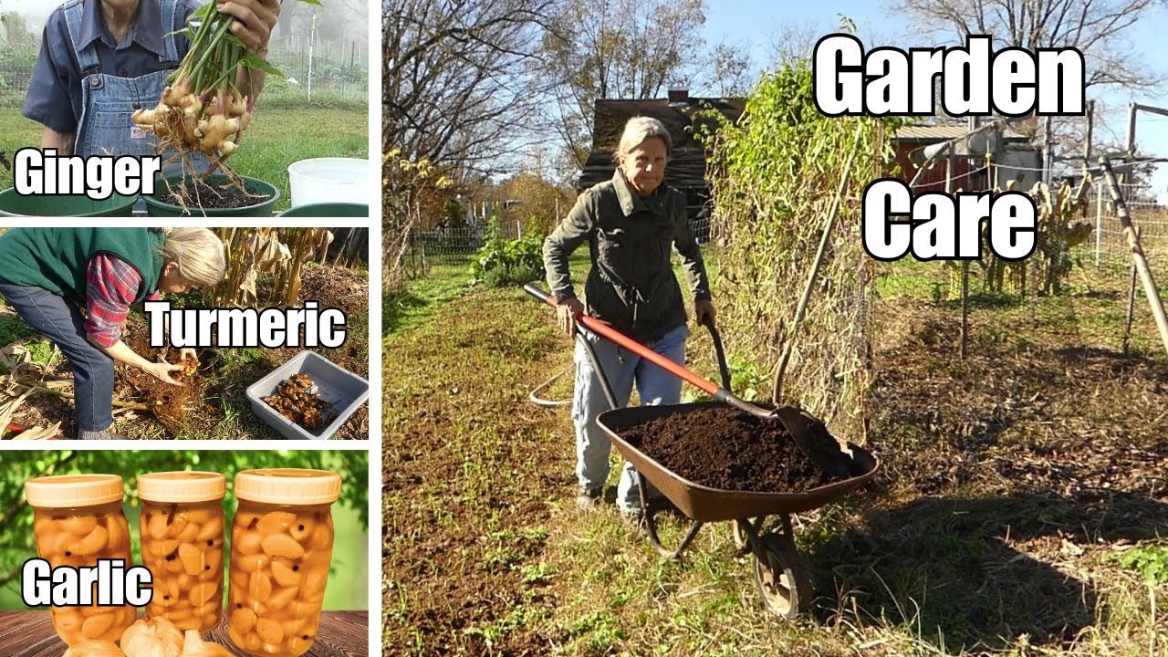 Nov. Dec. Garden / Harvesting, Planting, Winterizing