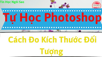 Tự học Photoshop CS6 - Cách đo kích thước của một đối tượng