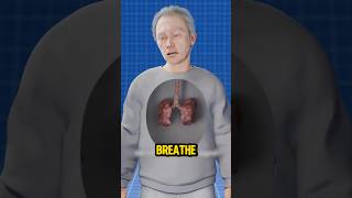 What Happens To Your Lungs After Just One Breath Of Smoke?