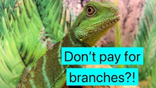 How to make Branches Reptile Safe!