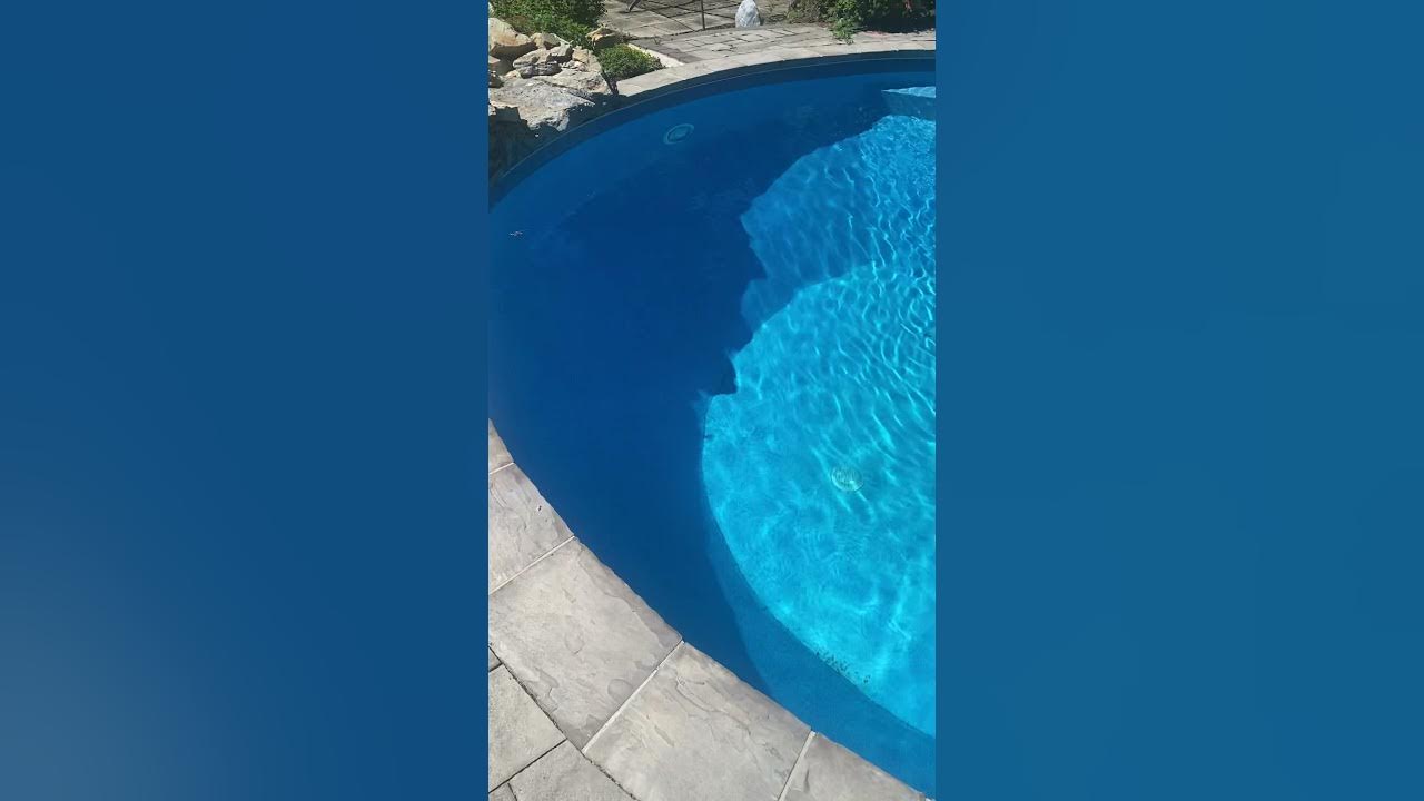chlorine to salt conversion , CircuPool Core 55 saltwater pool review