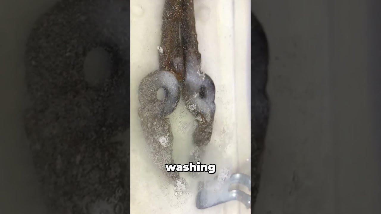 How To Make Rust Disappear With Electricity 