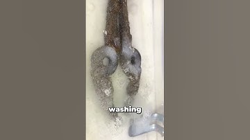 How to Make Rust Disappear with Electricity?