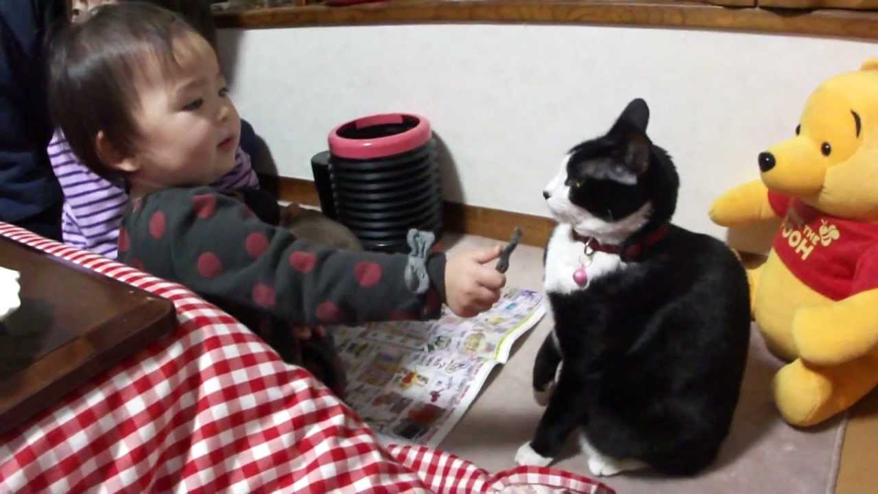 衝撃映像 リアル連続ネコパンチ 猫パンチ を受けてしまった子供 Youtube