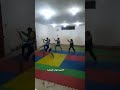 اسلوب الثعبان Snake Style Basics ك ايهاب صابر 