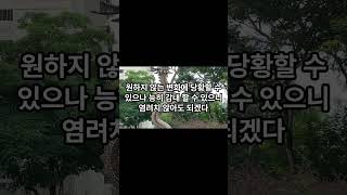 2024년 6월 18일 용띠 운세 #오늘의운세 #띠별운세 #용띠