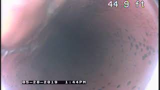 4th video 20190528 04