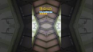 ei hamb#shorts #funny #eihale #shortvideo