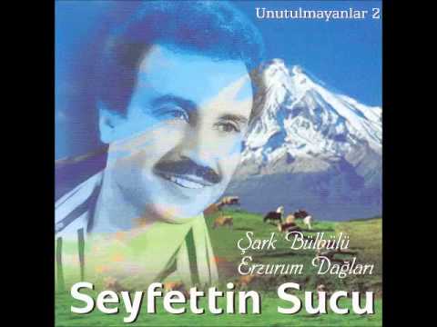 Seyfettin Sucu - Gözümde Kanlı Yaşlar