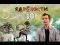 Ядрености 38 - Смышленый водитель, труселя и зов природы