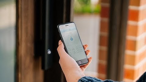 Lane Grande Available Now