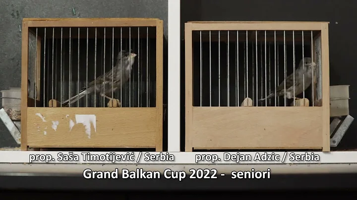 Grand Balkan Cup 2022 -  seniori - proprietari Saa...