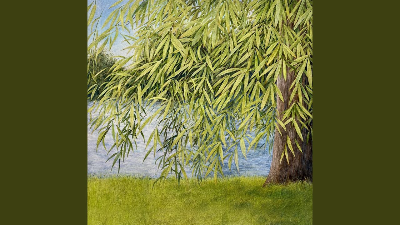 在 YouTube 上观看 Edward 在 YouTube 上观看 Edward