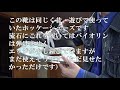 独学バイオリン動画　ローラーブレードを履いてバイオリンが弾けるのかについて