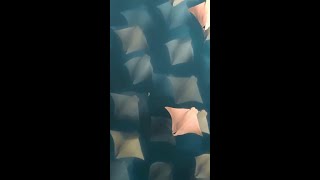 Breathtaking A Fever Of Cownose Rays Gliding Through The Water In
