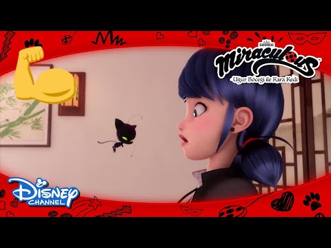 Mucize: Uğur Böceği ile Kara Kedi | Dünyanın En Güçlü Kwamisi Plagg 💪 | Disney Channel TR