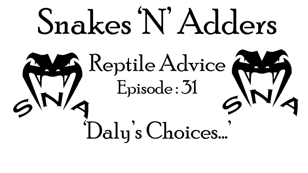 reptile care app Snakes 'N' Adders Reptile Advice : Episode - 31 (Daly's choices)