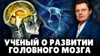 Е. Понасенков о развитии головного мозга