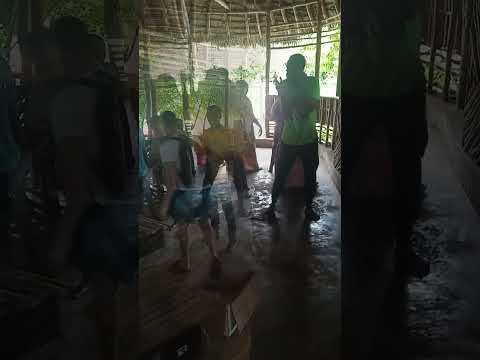'Hakuna Matata' Local