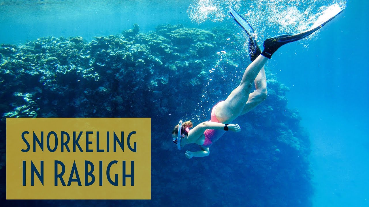 Snorkeling in Rabigh, Saudi Arabia YouTube