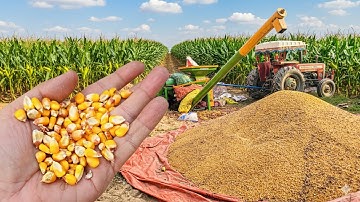Corn Threshing Machine: Separating Kernels from Cobs | Pure Skill