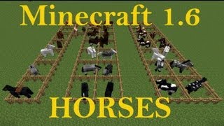 Minecraft 1.6 Horse colors and breeds tutorial | Doovi