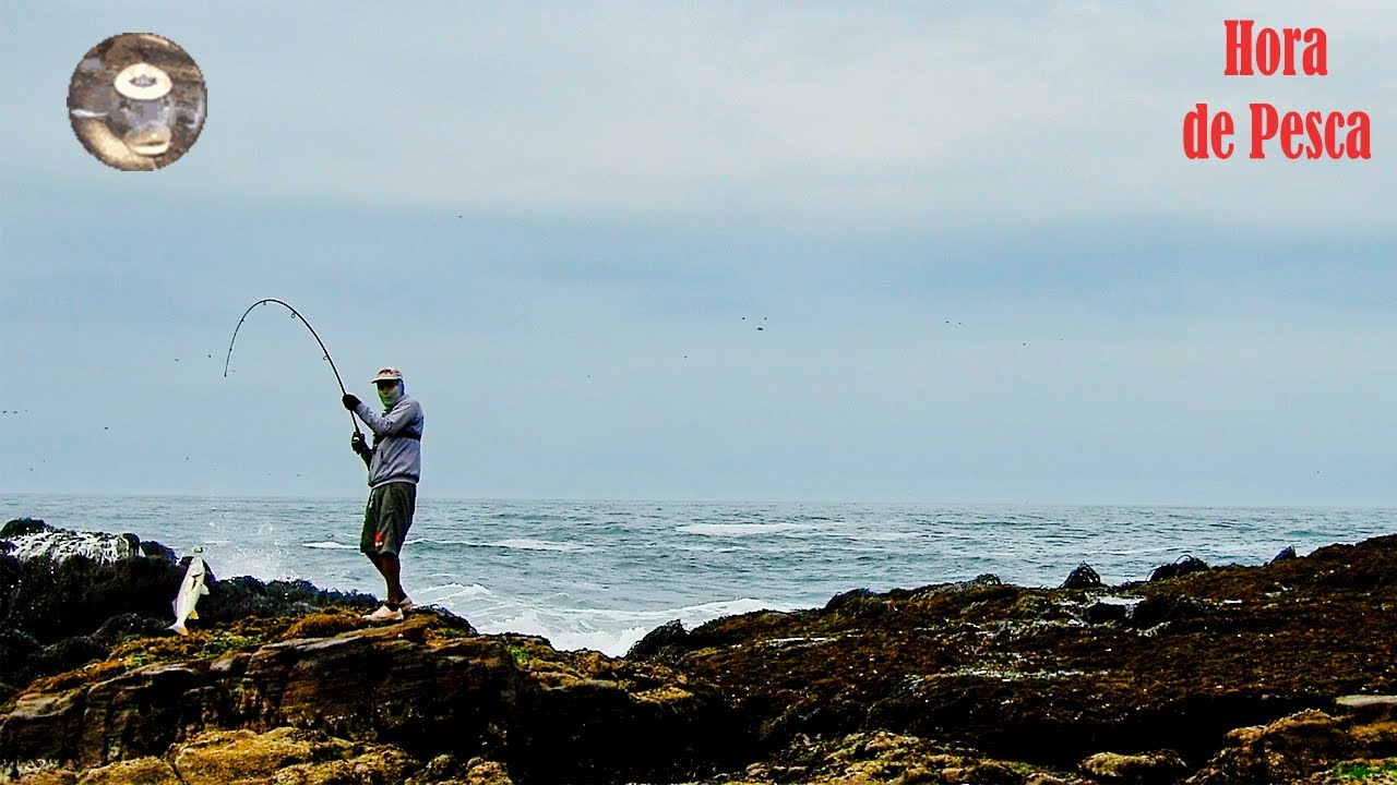 Горбыли продолжают выходить. Ловля на убойные джиговые приманки. || Джиггинг с берега.