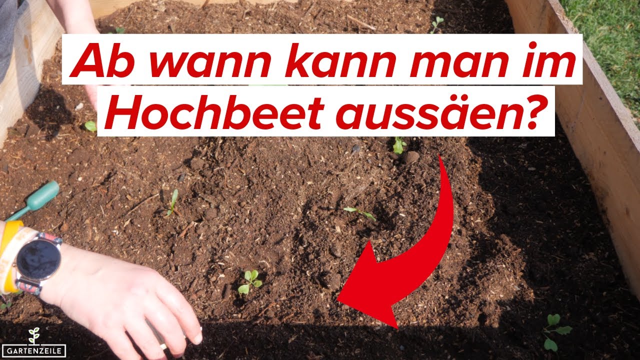 Ab wann kann man im Hochbeet aussäen?