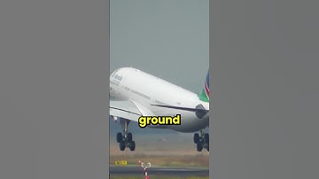 Why A330 is the “Butter Machine”?